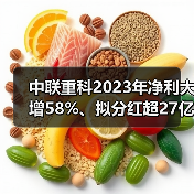 中联重科2023年净利大增58%、拟分红超27亿(图4) 中联重科2023年净利大增58%、拟分红超27亿(图4)