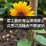 厦工股份与山河特装正式签订战略合作框架协议(图3) 厦工股份与山河特装正式签订战略合作框架协议(图3)
