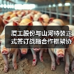 厦工股份与山河特装正式签订战略合作框架协议(图4) 厦工股份与山河特装正式签订战略合作框架协议(图4)