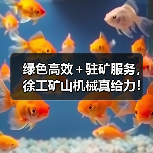 绿色高效+驻矿服务,徐工矿山机械真给力!(图2) 绿色高效+驻矿服务,徐工矿山机械真给力!(图2)
