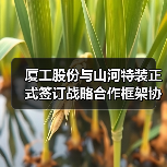 厦工股份与山河特装正式签订战略合作框架协议(图1) 厦工股份与山河特装正式签订战略合作框架协议(图1)