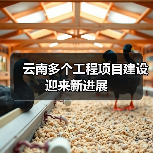 云南多个工程项目建设迎来新进展(图3) 云南多个工程项目建设迎来新进展(图3)