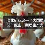 淮北矿业这一“大国重器”掘出“新质生产力”(图4) 淮北矿业这一“大国重器”掘出“新质生产力”(图4)