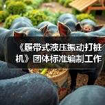 《履带式液压振动打桩机》团体标准编制工作讨论会顺利召开(图4) 《履带式液压振动打桩机》团体标准编制工作讨论会顺利召开(图4)