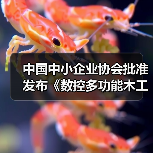 中国中小企业协会批准发布《数控多功能木工六面钻》(图1) 中国中小企业协会批准发布《数控多功能木工六面钻》(图1)