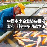 中国中小企业协会批准发布《数控多功能木工六面钻》(图4) 中国中小企业协会批准发布《数控多功能木工六面钻》(图4)