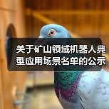 关于矿山领域机器人典型应用场景名单的公示(图4) 关于矿山领域机器人典型应用场景名单的公示(图4)