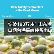 突破180万吨!山东港口烟台港高端装备出口量同增70%(图3) 突破180万吨!山东港口烟台港高端装备出口量同增70%(图3)
