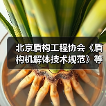 北京盾构工程协会《盾构机解体技术规范》等5项标准施行(图1) 北京盾构工程协会《盾构机解体技术规范》等5项标准施行(图1)