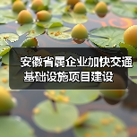 安徽省属企业加快交通基础设施项目建设(图3) 安徽省属企业加快交通基础设施项目建设(图3)