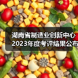 湖南省制造业创新中心2023年度考评结果公布(图4) 湖南省制造业创新中心2023年度考评结果公布(图4)