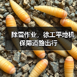 除雪作业，徐工平地机保障道路出行（图1）
