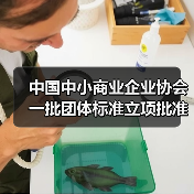 中国中小商业企业协会一批团体标准立项批准（图1）