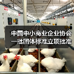 中国中小商业企业协会一批团体标准立项批准（图3）