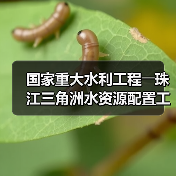 国家重大水利工程――珠江三角洲水资源配置工程正式通水（图1）