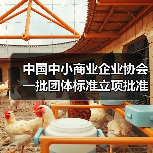 中国中小商业企业协会一批团体标准立项批准（图2）