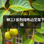 柳工F系列纯电动叉车下线（图2）