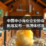 中国中小商业企业协会批准发布一批团体标准!(图3) 中国中小商业企业协会批准发布一批团体标准!(图3)