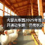 内蒙古东西2025年首次开通动车组:仍需长达10.5小时(图4) 内蒙古东西2025年首次开通动车组:仍需长达10.5小时(图4)