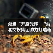 勇当“开路先锋” ?湖北交投集团助力打造新时代“九州通衢”（图4）