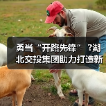 勇当“开路先锋” ?湖北交投集团助力打造新时代“九州通衢”（图1）