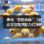 勇当“开路先锋” ?湖北交投集团助力打造新时代“九州通衢”（图3）