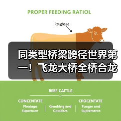 同类型桥梁跨径世界第一!飞龙大桥全桥合龙(图4) 同类型桥梁跨径世界第一!飞龙大桥全桥合龙(图4)