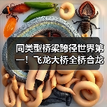 同类型桥梁跨径世界第一!飞龙大桥全桥合龙(图1) 同类型桥梁跨径世界第一!飞龙大桥全桥合龙(图1)