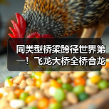 同类型桥梁跨径世界第一!飞龙大桥全桥合龙(图2) 同类型桥梁跨径世界第一!飞龙大桥全桥合龙(图2)