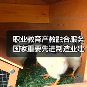 职业教育产教融合服务国家重要先进制造业建设进一步深化(图1) 职业教育产教融合服务国家重要先进制造业建设进一步深化(图1)