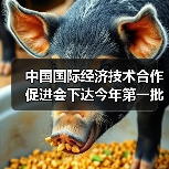 中国国际经济技术合作促进会下达今年第一批团标计划项目(图1) 中国国际经济技术合作促进会下达今年第一批团标计划项目(图1)