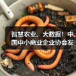 智慧农业、大数据!中国中小商业企业协会发布一批标准(图4) 智慧农业、大数据!中国中小商业企业协会发布一批标准(图4)