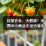 智慧农业、大数据!中国中小商业企业协会发布一批标准(图1) 智慧农业、大数据!中国中小商业企业协会发布一批标准(图1)