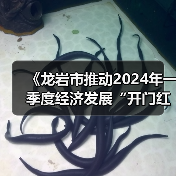 《龙岩市推动2024年一季度经济发展“开门红”“开门稳”的若干措施》解读(图3) 《龙岩市推动2024年一季度经济发展“开门红”“开门稳”的若干措施》解读(图3)
