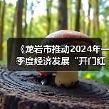 《龙岩市推动2024年一季度经济发展“开门红”“开门稳”的若干措施》解读(图2) 《龙岩市推动2024年一季度经济发展“开门红”“开门稳”的若干措施》解读(图2)