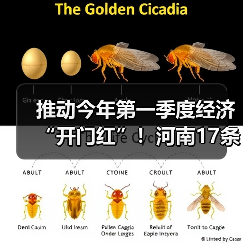 推动今年第一季度经济“开门红”!河南17条举措来了(图4) 推动今年第一季度经济“开门红”!河南17条举措来了(图4)