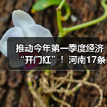 推动今年第一季度经济“开门红”!河南17条举措来了(图2) 推动今年第一季度经济“开门红”!河南17条举措来了(图2)