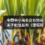 17项团体标准发布，这些新规将如何影响行业？-南能精密制造有