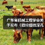 广东省机械工程学会关于发布《数控细微深孔加工装备 第3部分：超大深径比孔加工设备》团体标准的公告（图4）