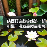 陕西打造数字经济“新引擎”激发高质量发展新动能（图4）