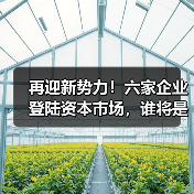 再迎新势力！六家企业登陆资本市场，谁将是下一个黑马？（图1）