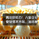 再迎新势力！六家企业登陆资本市场，谁将是下一个黑马？（图2）