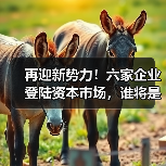 再迎新势力！六家企业登陆资本市场，谁将是下一个黑马？（图3）