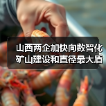 山西两企加快向数智化矿山建设和直径最大盾构机进发（图4）